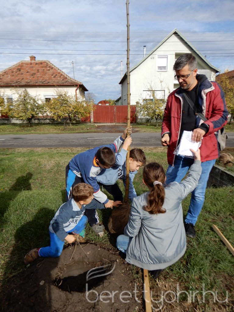 Közösségi faültetés Berettyóújfaluban 42